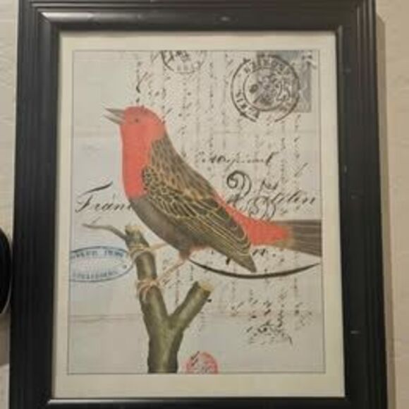 Set of 2 Framed Bird Pictures Prints 13" X 15" - Picture 1 of 8